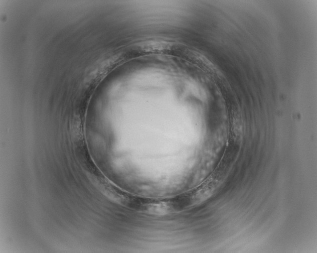 X0000075340411200609151516