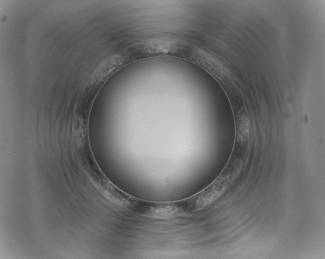 X0000075340414200609151516