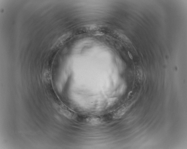 X0000075340419200609151516
