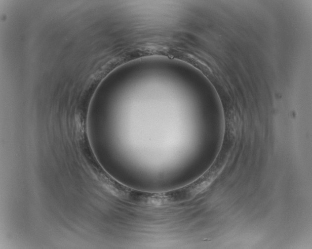 X0000075340420200609151516