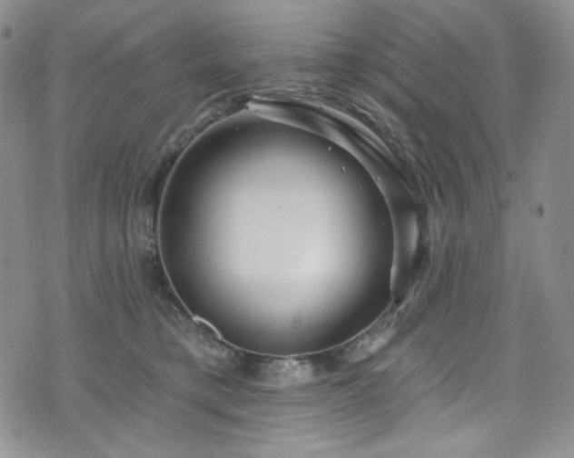 X0000075340421200609151516