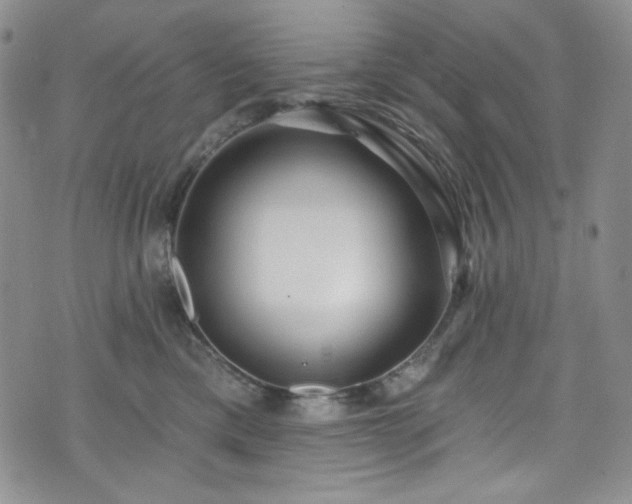 X0000075340425200609151516