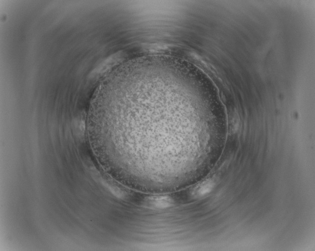 X0000075340427200609151516
