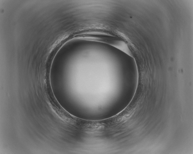 X0000075340443200609151515