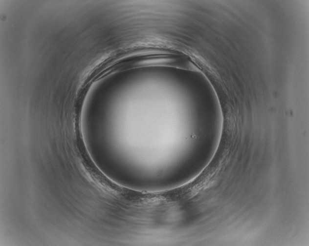 X0000075340446200609151515
