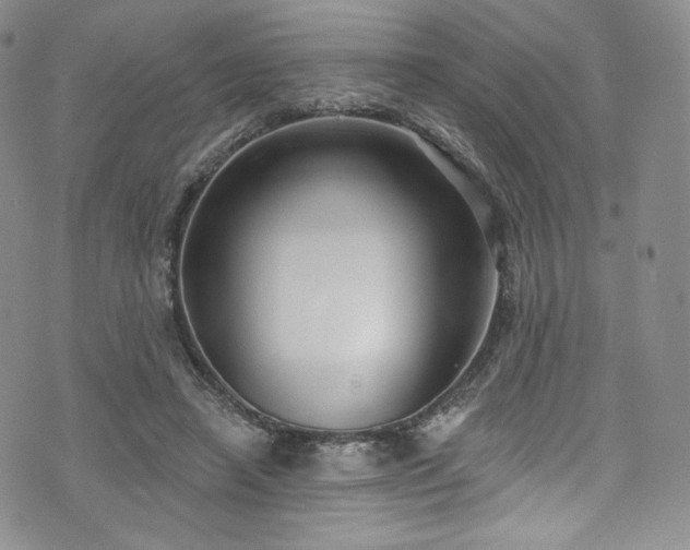X0000075340450200609151515