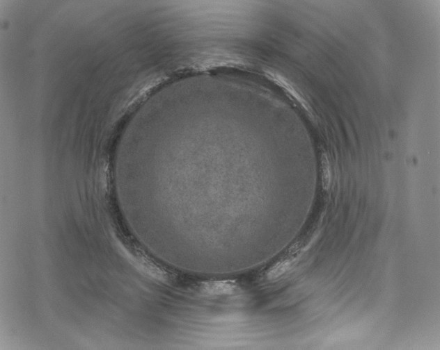 X0000075340451200609151515