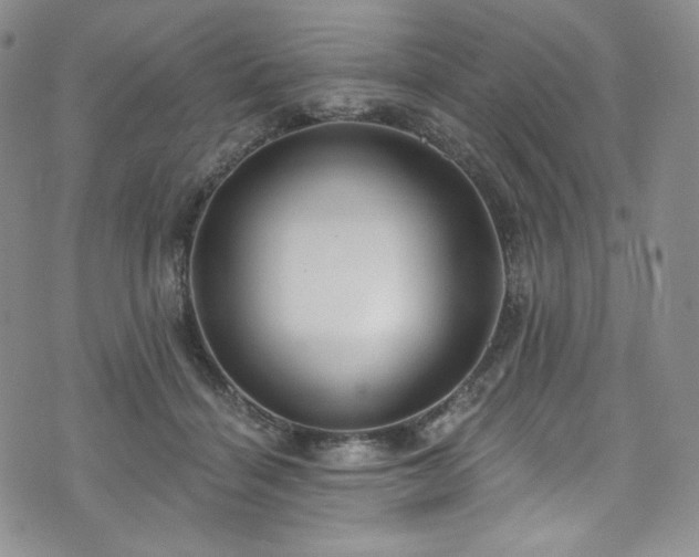 X0000075340460200609151515