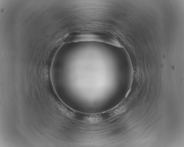 X0000075340466200609151516