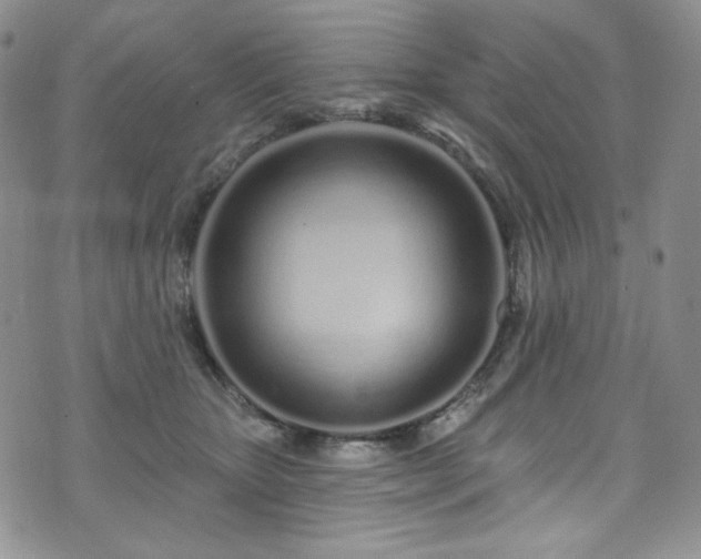 X0000075340467200609151516