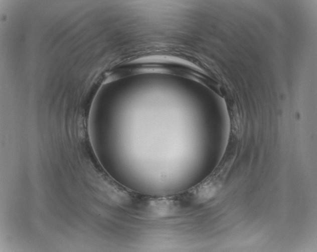 X0000075340470200609151516