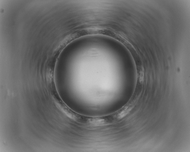 X0000075340476200609151516