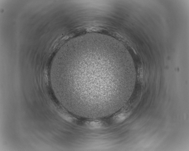X0000075340506200609151515