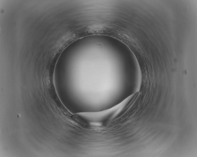 X0000075340508200609151515