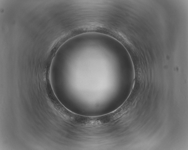 X0000075340543200609151514