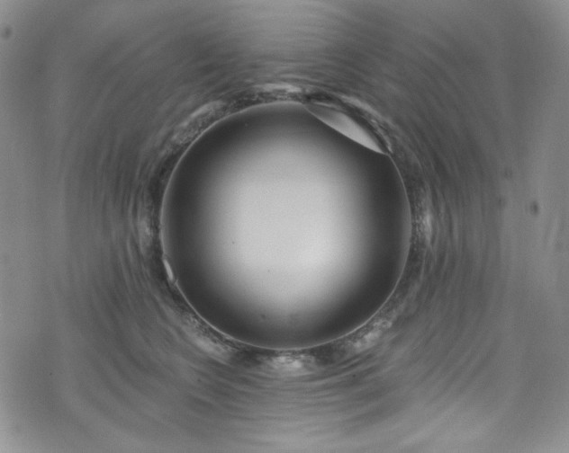 X0000075340566200609151514