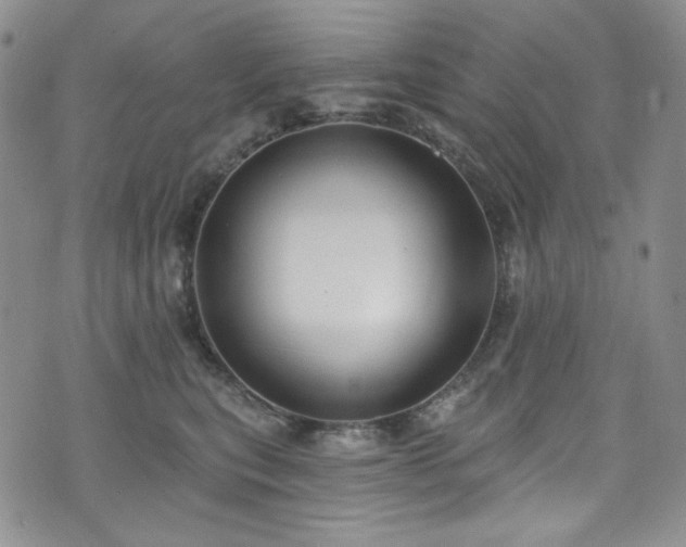 X0000075340567200609151514