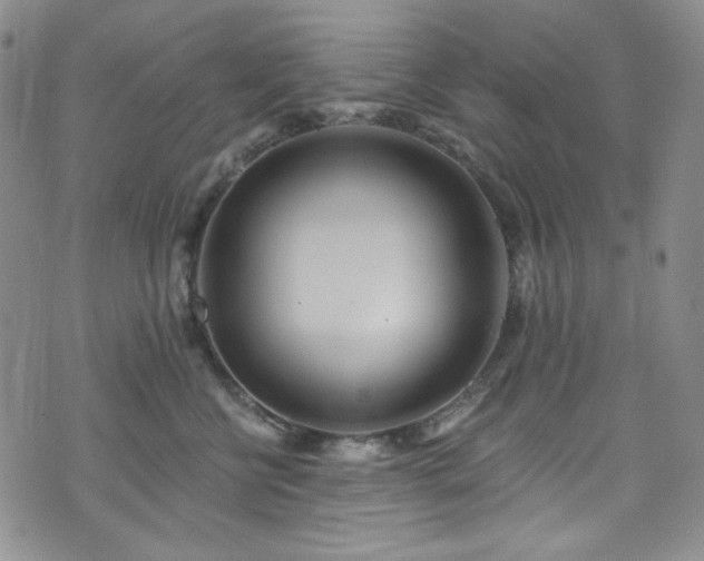 X0000075340570200609151514