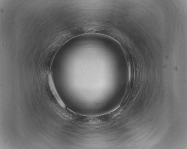 X0000075340601200609151513