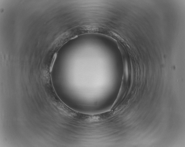 X0000075340609200609151513