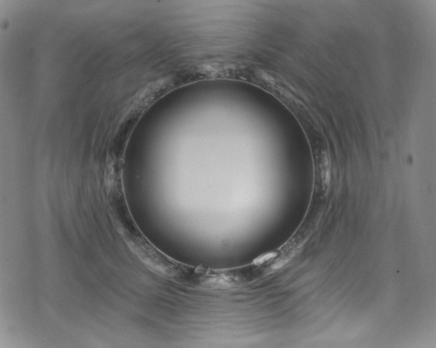 X0000075340611200609151513