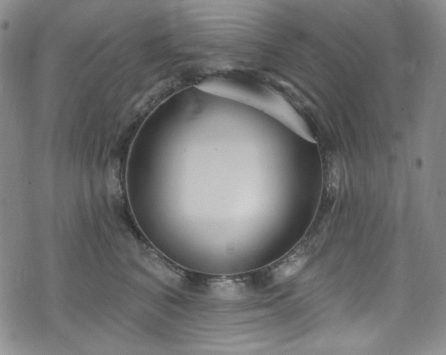 X0000075340616200609151513