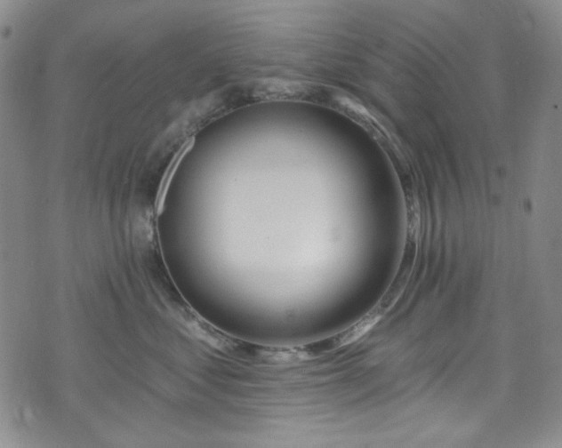 X0000075340621200609151513