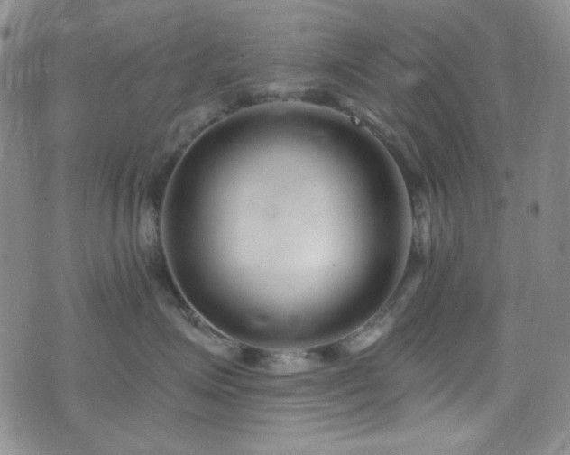 X0000075340623200609151513