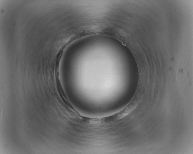 X0000075340624200609151513