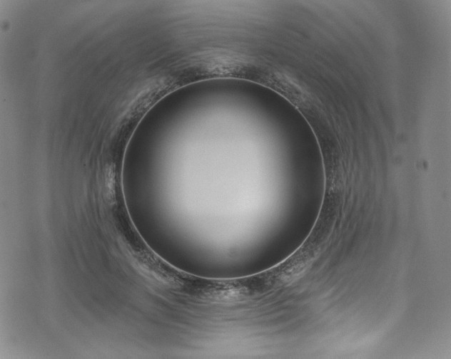 X0000075340646200609151512
