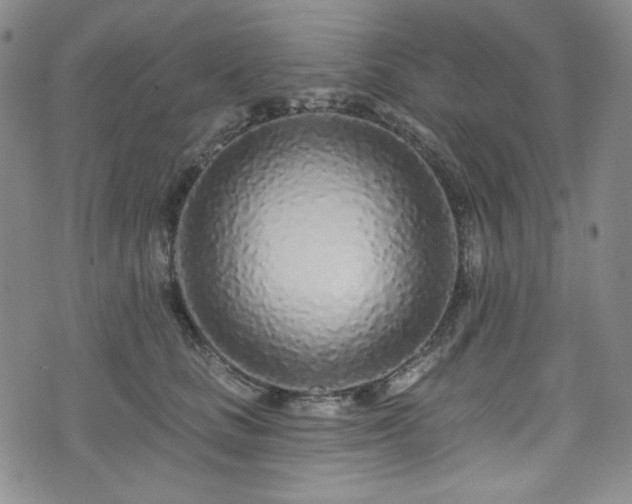 X0000075340661200609151512