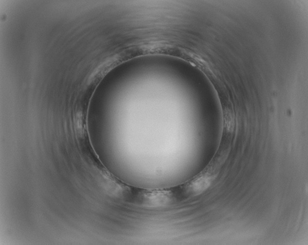 X0000075340670200609151513