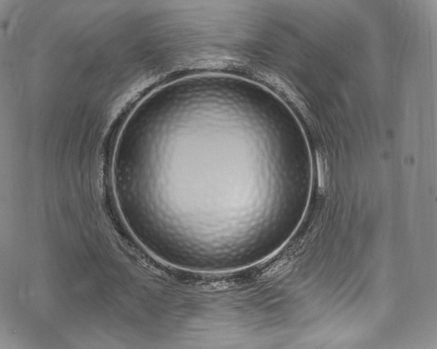 X0000075340675200609151512