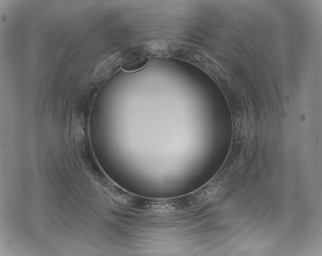 X0000075340702200609151511