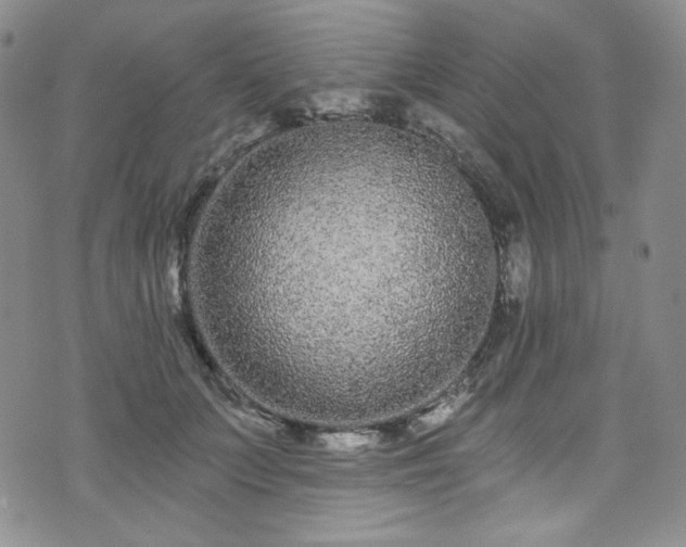 X0000075340703200609151511
