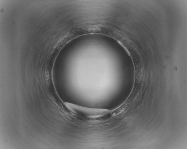 X0000075340704200609151511