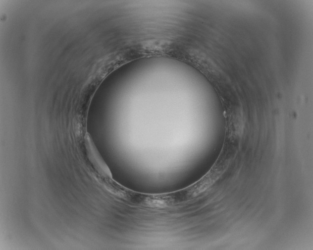 X0000075340706200609151511