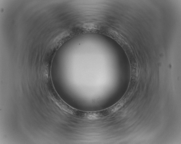 X0000075340710200609151511