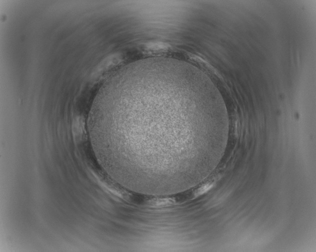 X0000075340711200609151511