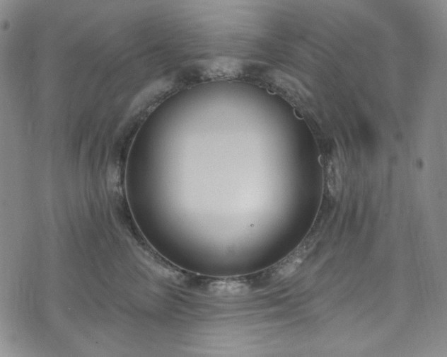 X0000075340714200609151511