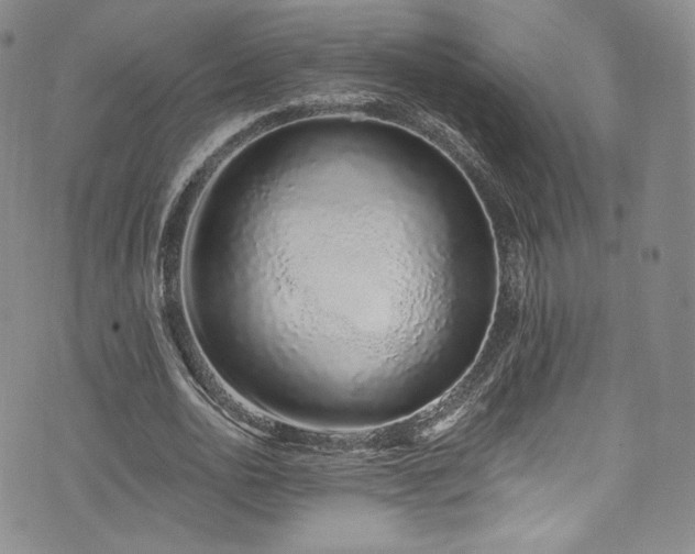 X0000075340726200609151510