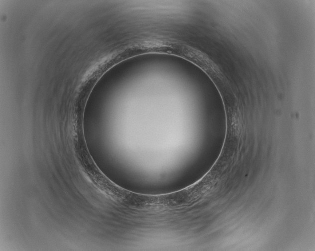 X0000075340732200609151510