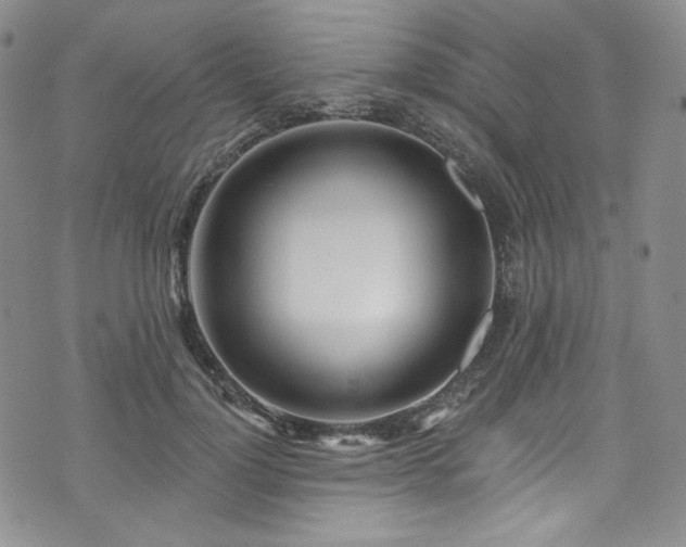 X0000075340748200609151511