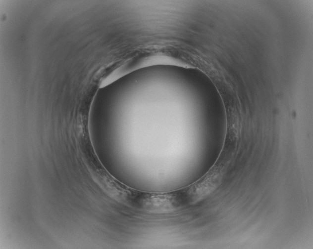 X0000075340758200609151511