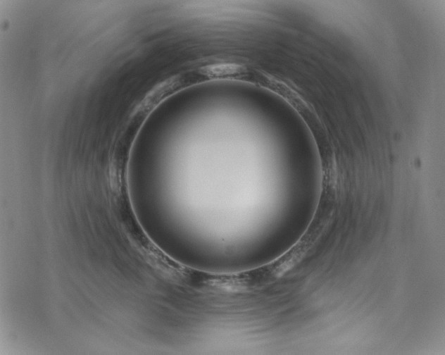 X0000075340763200609151511