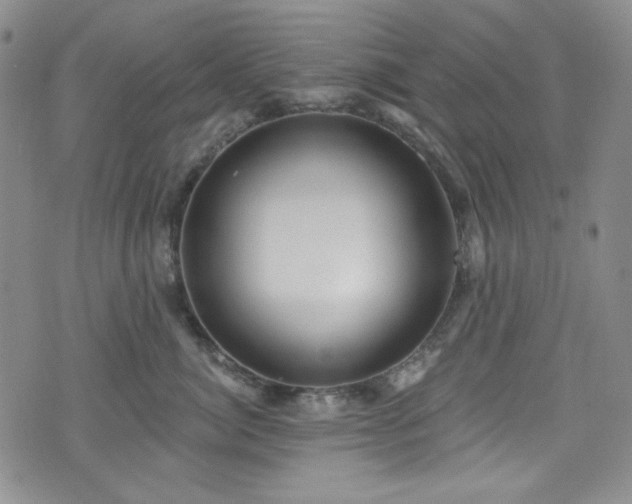 X0000075340764200609151511