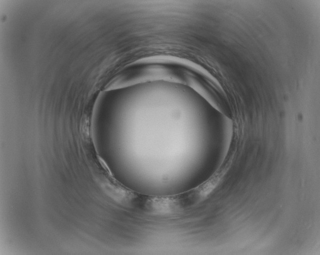 X0000075340766200609151511