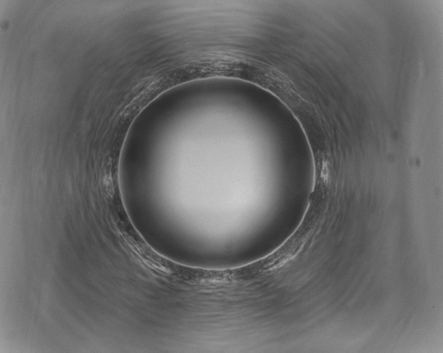 X0000075340771200609151510