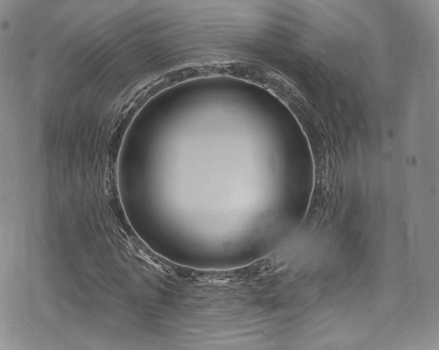 X0000075340773200609151510