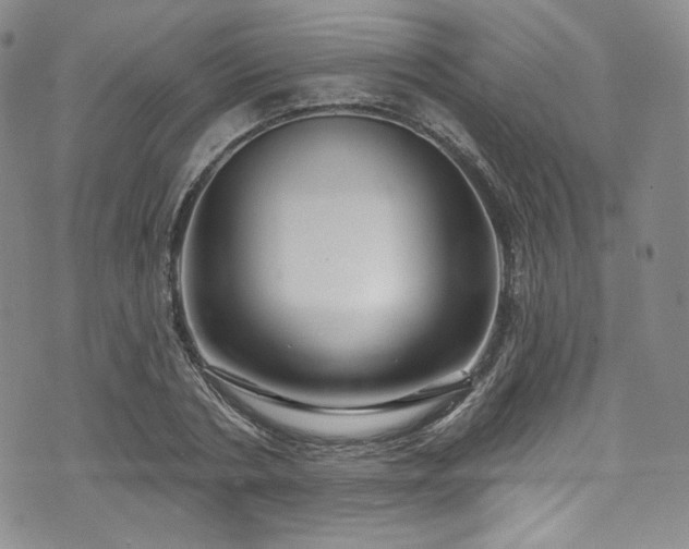 X0000075340786200609151510